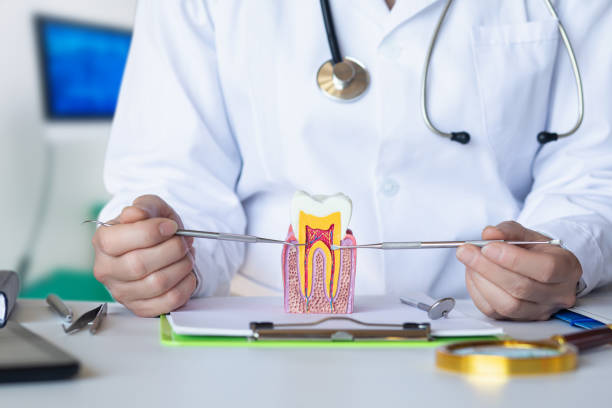 Best Knocked-Out Tooth (Avulsed Tooth) Treatment in Lockport Heights, LA